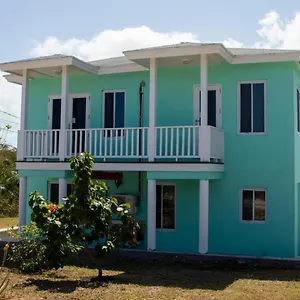 Apartment Da Bottom, Curtis